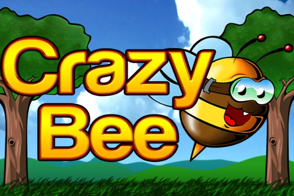 00214 crazy bee