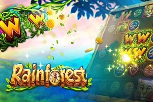 01813 rainforest
