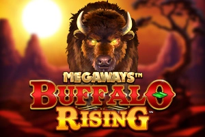 02808 buffalo rising megaways